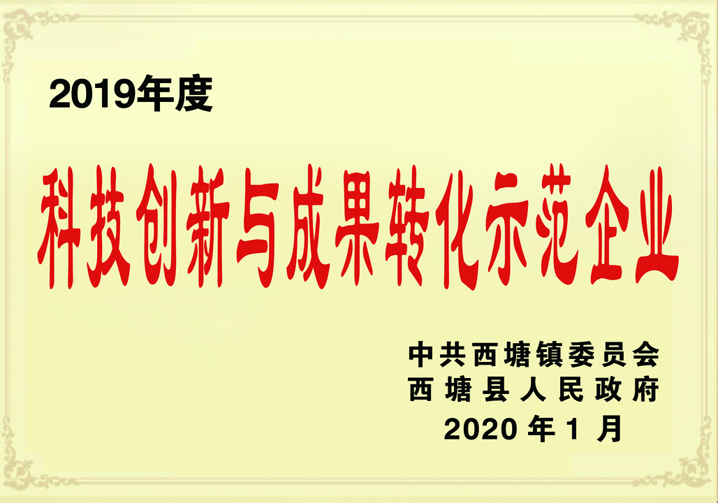 科技成果转化示范企业