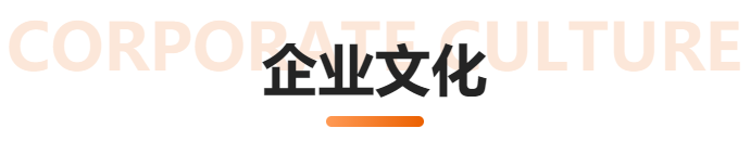 边锋隔膜泵